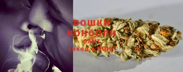 трава Каменногорск