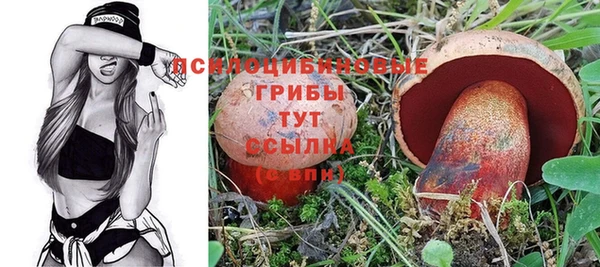 трава Каменногорск