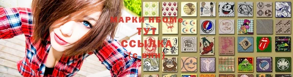МДПВ Карпинск
